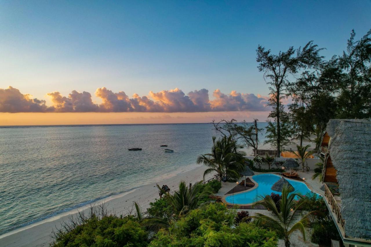 Zanzibar Clove Island Villas & Apartments Makunduchi Eksteriør bilde